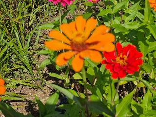 ���а���-1 (8).jpg