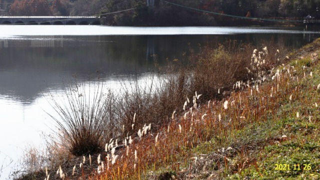 29 - ���纻.jpg