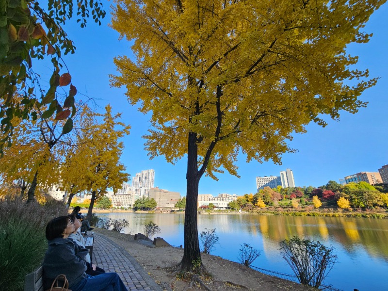 20251110_150043 (1).jpg