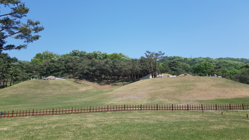 20260501_133438.jpg