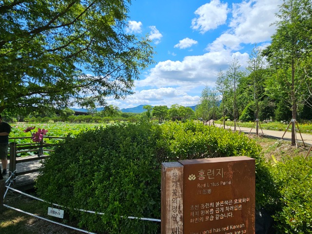 20260621_134541.jpg